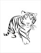 tiger