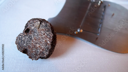 Photo: Black truffle Black truffle