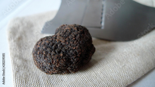 Photo: Black truffle Black truffle