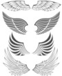 Wings in different forms and styles for emblems Wings in different forms and styles for emblems