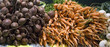 Carrots and beets