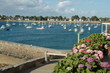 Hortensia du Port Navalo