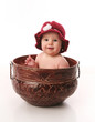 Baby girl sitting in a flower pot