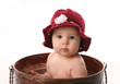 Baby girl sitting in a flower pot