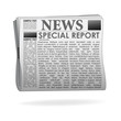 special report  news paper