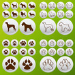 Dog and truck set vector