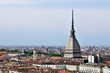 City of Turin skyline panorama seen from the hill City of Turin skyline panorama seen from the hill