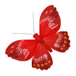 Red decorative butterfly