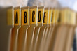 alphabetical filing tray