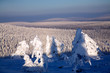 Clear day on winter time in lapland Clear day on winter time in lapland