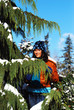 Female in Winter Snow Female in Winter Snow
