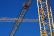 grues