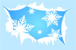 Winter background