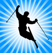 freestyle skiing