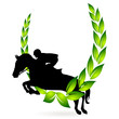 Springreiten Auszeichnung