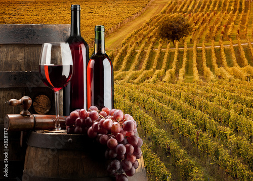 Foto: red wine with vineyard red wine with vineyard