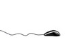 Computer mouse on white