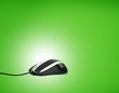 Computer mouse on green background