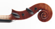 top of violin top of violin