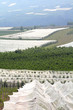 Horticulture in Val di Sole, Italy