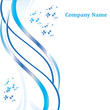 snow_blank