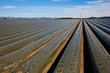 Agricultural field with recently planted lettuce