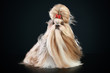 Shih-tzu on a dark-blue background Shih-tzu on a dark-blue background