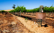Barossa Valley Vineyard