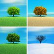 Four season