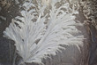Ice on window