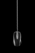 computer mouse phone cable