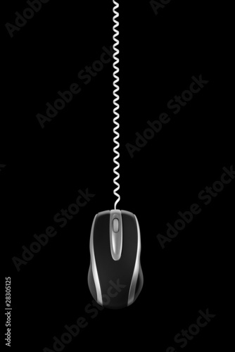 Photo: computer mouse phone cable computer mouse phone cable