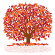 Vektor: baum im herbst baum im herbst
