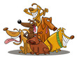 funny dogs
