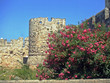 les remparts de rhodes fleuries