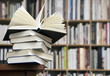 Bücherregal Bücherregal
