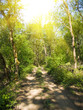 Foto: road road