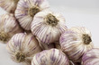 Garlic Braid