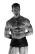 musculature puissante