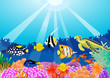 sea life sea life