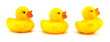 rubber duck