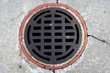 down the drain