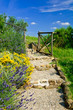 Garden steps with flowers leading to gate Garden steps with flowers leading to gate