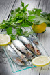 fresh sardines- sardine fresh sardines- sardine