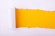 ripped paper displaying a yellow background