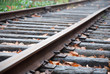 Railroad Tracks with Fallen Leaves