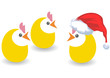 Christmas chickens