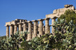 Italy, Sicily, Selinunte, Greek Hera Temple (409 b.C.)