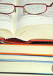 Lesen  #101210-004