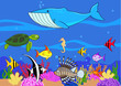 Sealife cartoon Sealife cartoon